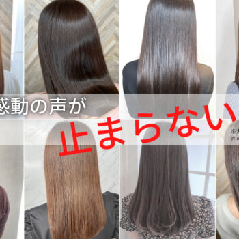 艶と毛先のまとまりが分かるヘアスタイル