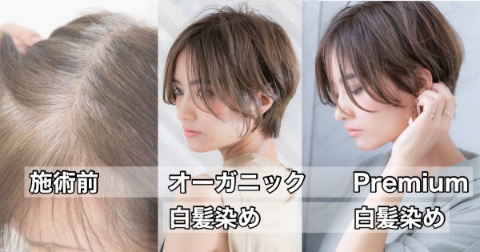 白髪のある分け目とブラウンのショートスタイルを並べた白髪染めの紹介画像